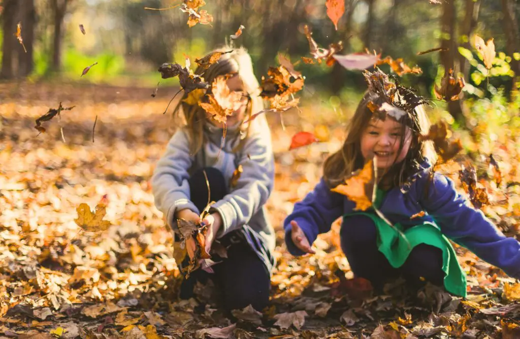 Children playing with dry leaves in the park. Counselling Chermside. Brisbane Livewell Clinic