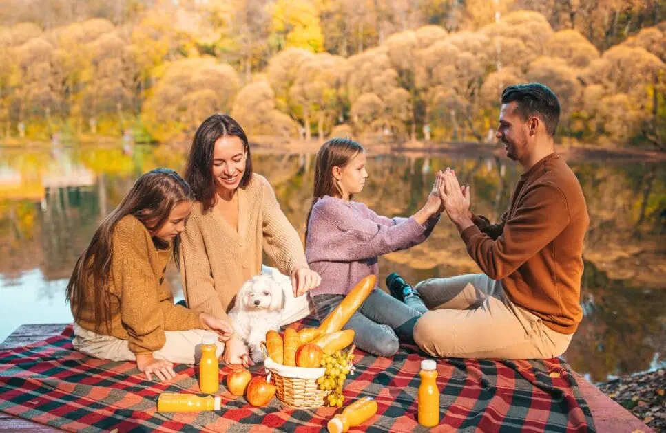 Happy family enjoying picnic in the park. Family Counselling. Clinical Nutrients. Brisbane Livewell Clinic