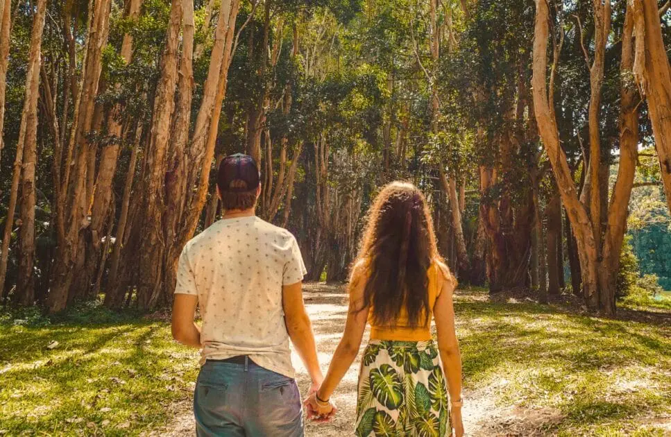 Couple holding hands while walking in the forest. Marriage Counseling Near Me. Brisbane Livewell Clinic