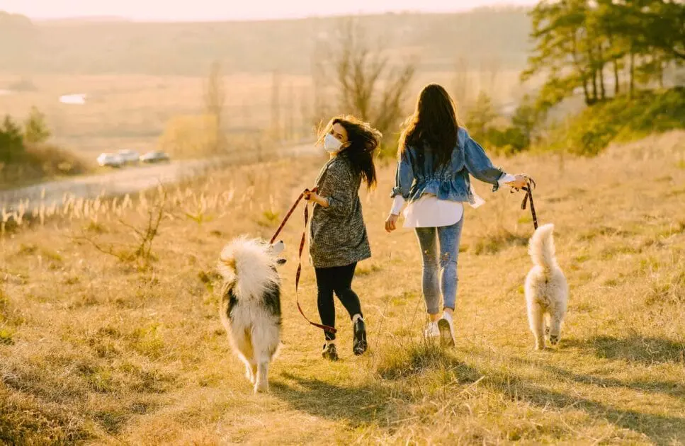 Women taking their dogs out for walks. Hypnotherapy near Gordon Park. Brisbane Livewell Clinic. Relationship Counseling Near Me. Heavy Metal Detox Australia