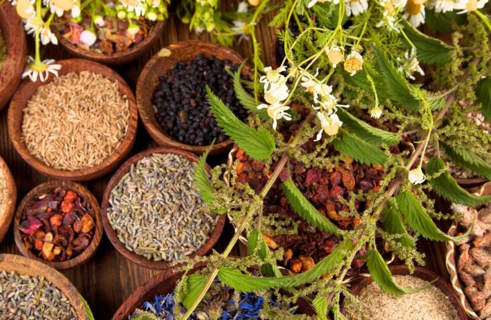 Various natural medicines on the table. How Naturopathy can help. Brisbane Livewell Clinic