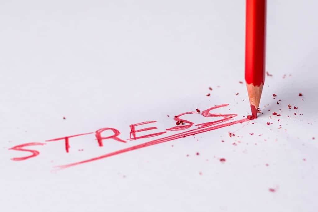 Stress and how it manifests