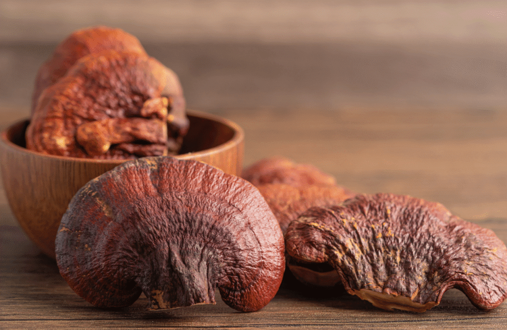 Dried Lingzhi Mushroom. Medicinal Mushrooms. Brisbane Livewell Clinic