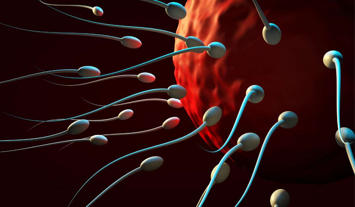 significant impact on sperm health. Brisbane livewell clinic.