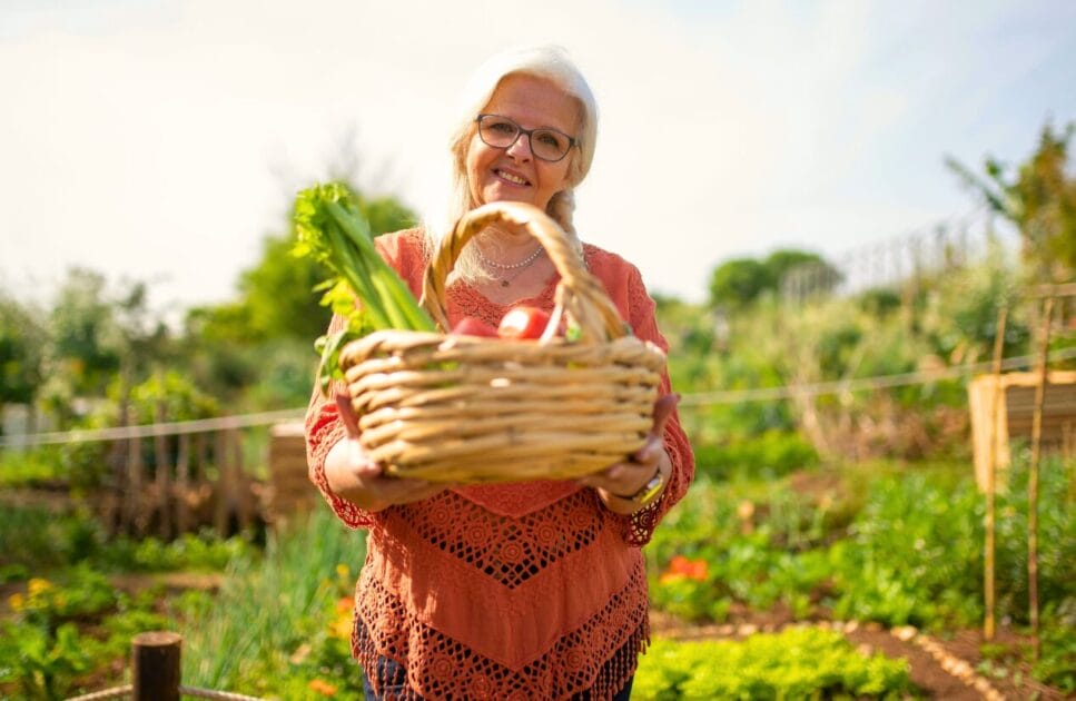 Woman holding a basket of fruits and vegetables. Heavy Metal and Parasite Detox. Brisbane Livewell Clinic